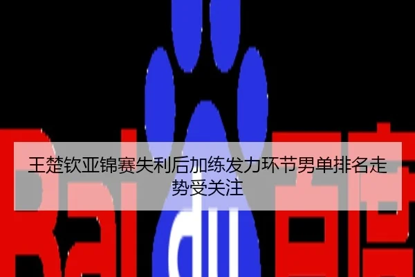 王楚钦亚锦赛失利后加练发力环节男单排名走势受关注 - UFC